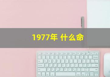 1977年 什么命